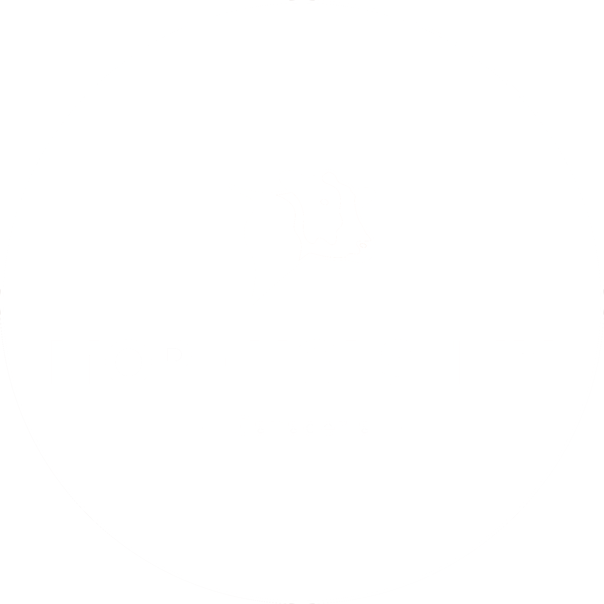 More Holstein